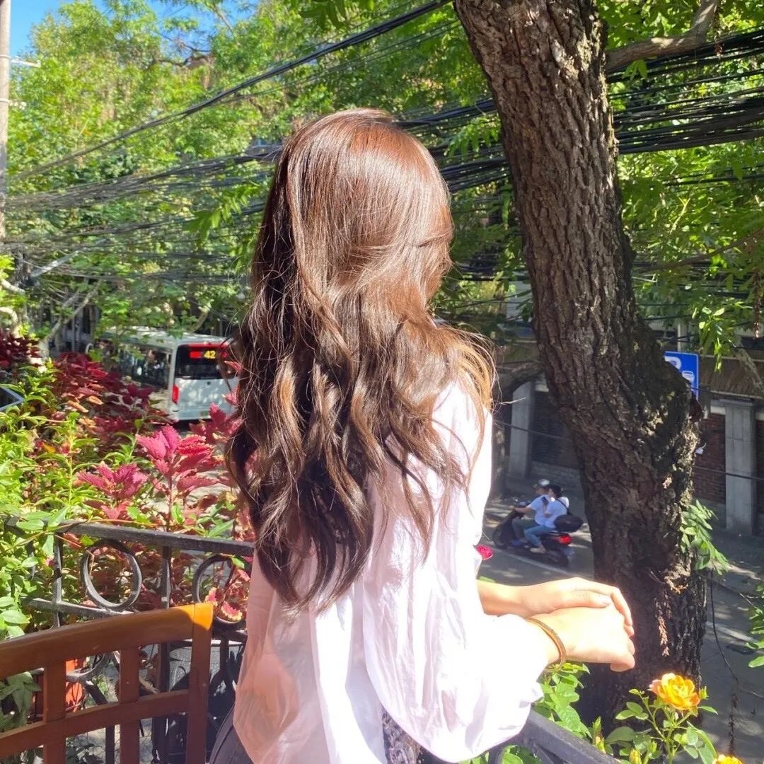 飞机上有蛇