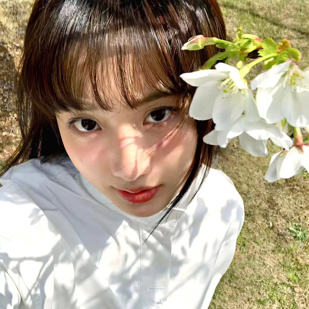 群鸟东径